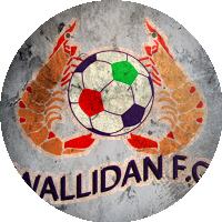 Logo Wallidan Football Club